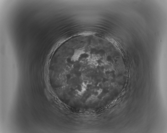 X0000115720337200911191356
