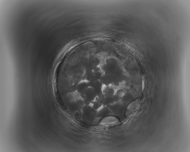X0000115720339200911191356