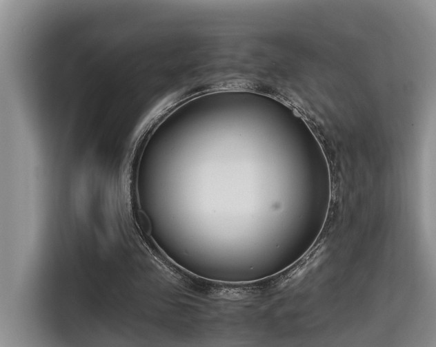 X0000115720341200911191356