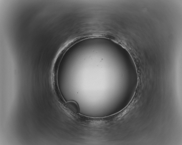 X0000115720342200911191356