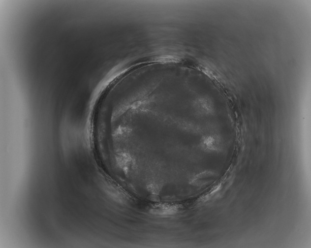X0000115720343200911191356