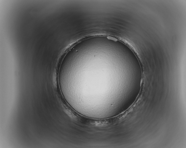 X0000115720345200911191356