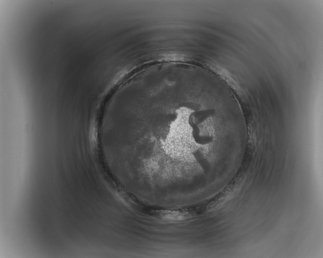 X0000115720347200911191356