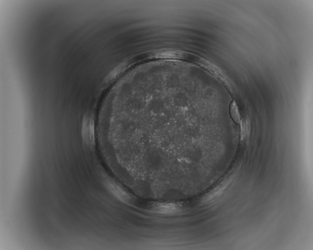 X0000115720349200911191356