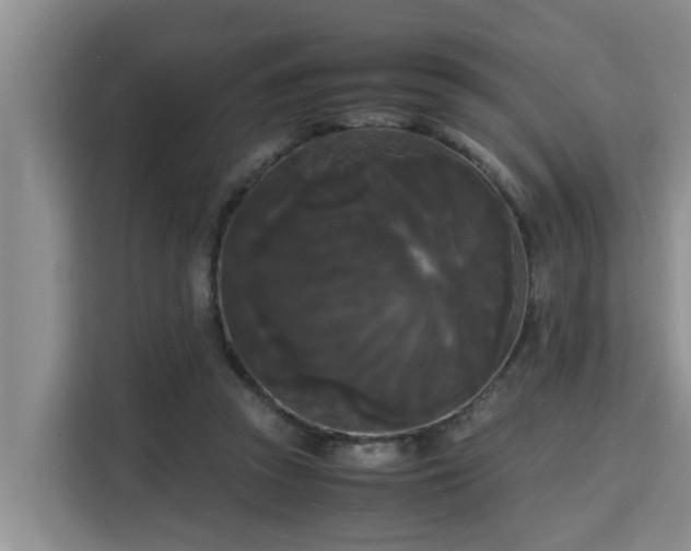 X0000115720353200911191356
