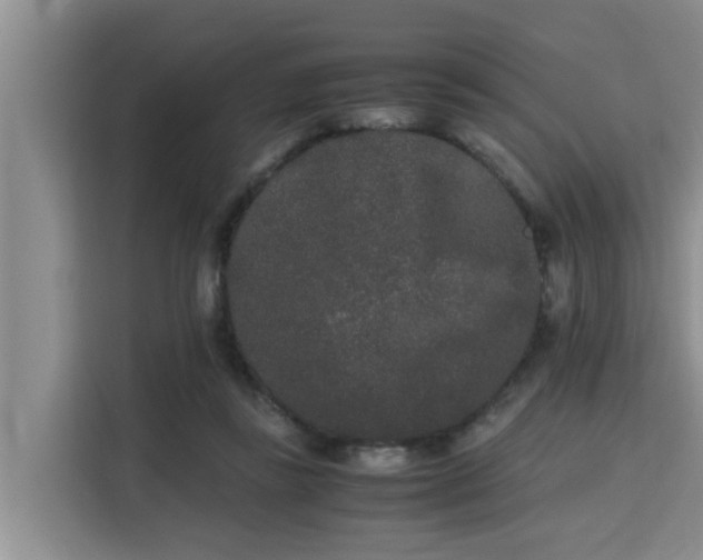 X0000115720355200911191356