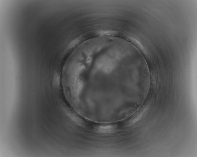 X0000115720357200911191356