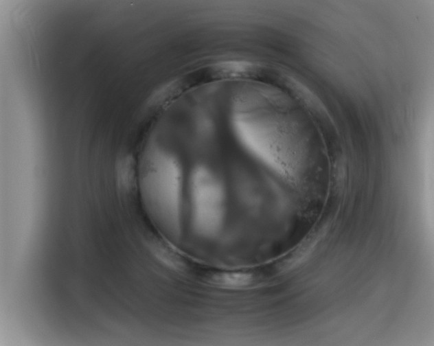 X0000115720361200911191356