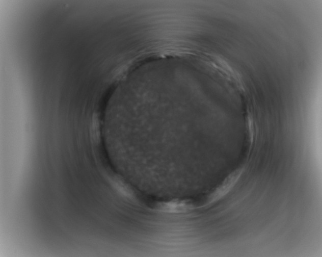 X0000115720366200911191356