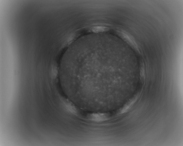 X0000115720367200911191356