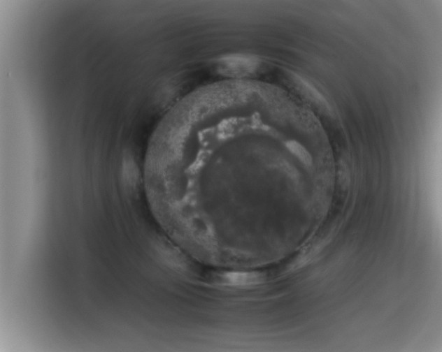 X0000115720371200911191356