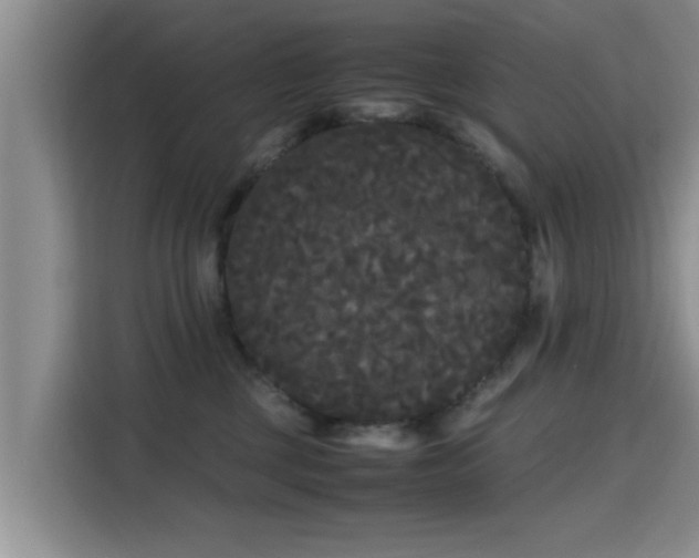 X0000115720377200911191356
