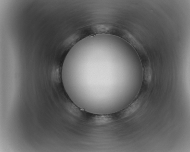 X0000115720378200911191356