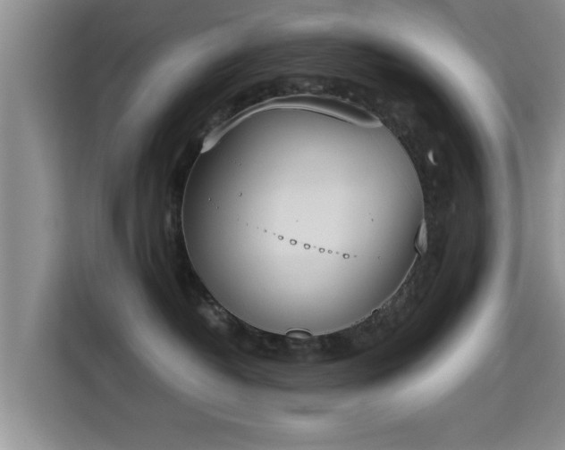 X0000115720382200911191356