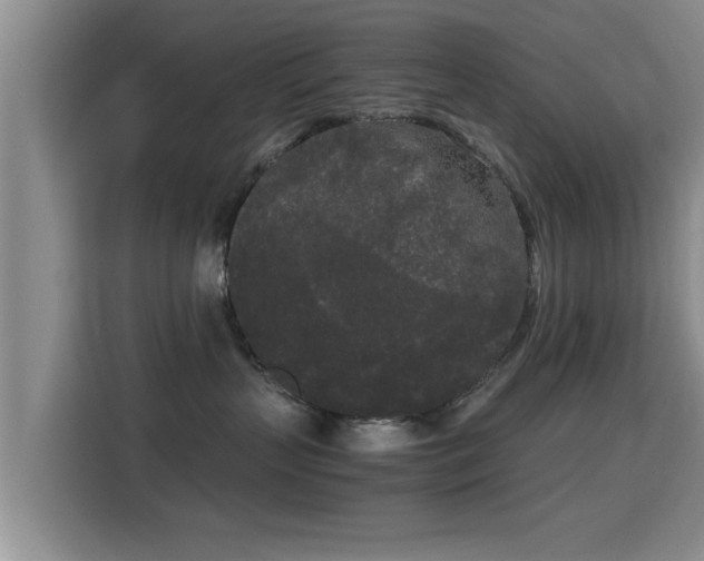 X0000115720383200911191356