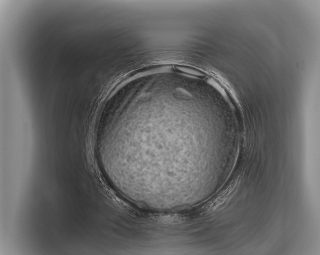 X0000115720385200911191356