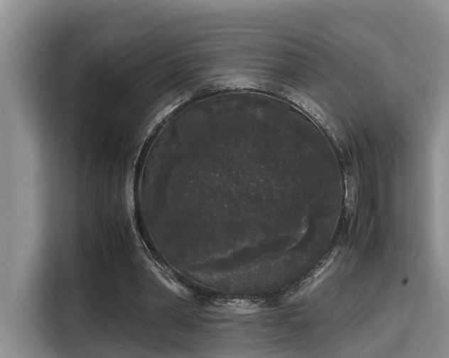 X0000115720390200911191356