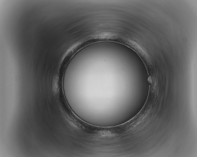 X0000115720392200911191356