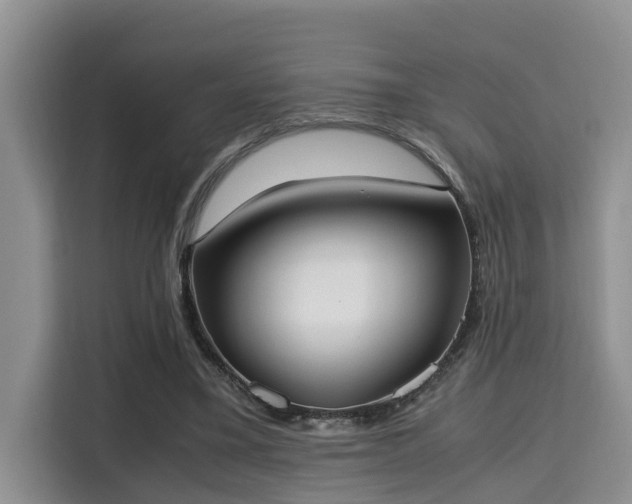 X0000115720395200911191355