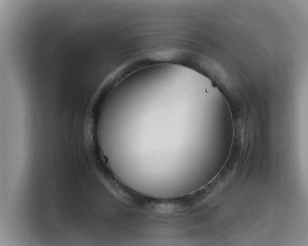 X0000115720400200911191355