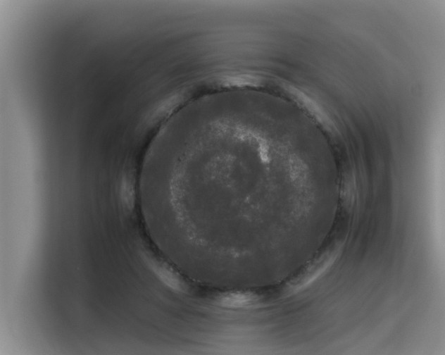 X0000115720402200911191355