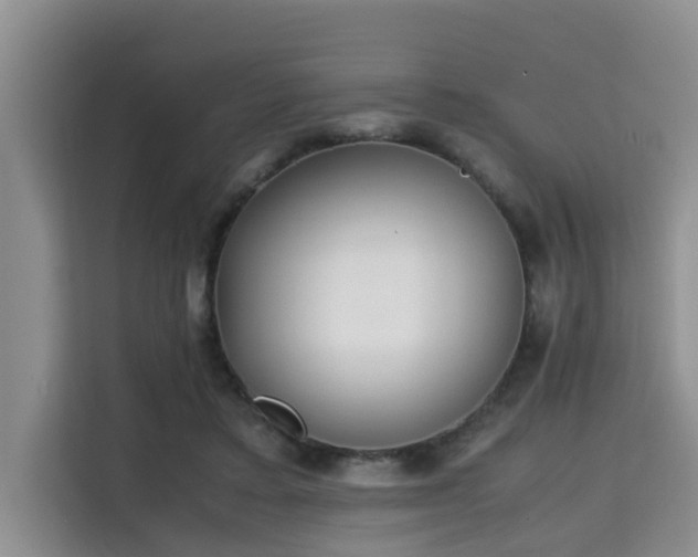 X0000115720403200911191355