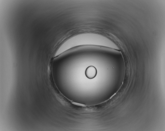 X0000115720405200911191355