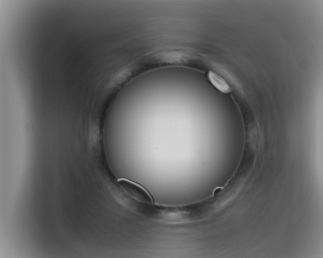 X0000115720407200911191355