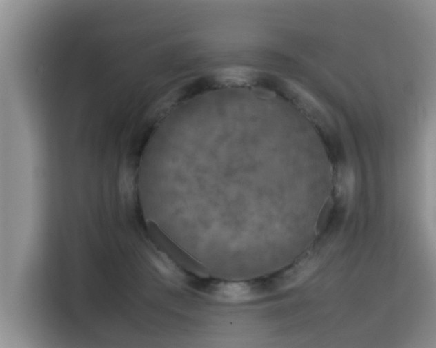 X0000115720409200911191355