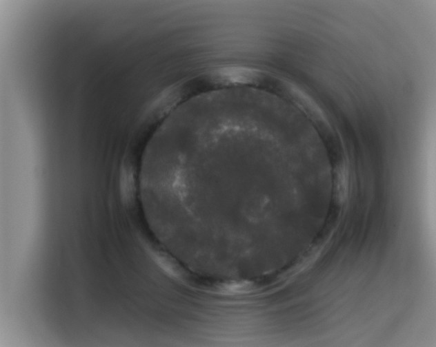 X0000115720410200911191355