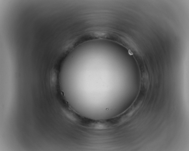 X0000115720412200911191355
