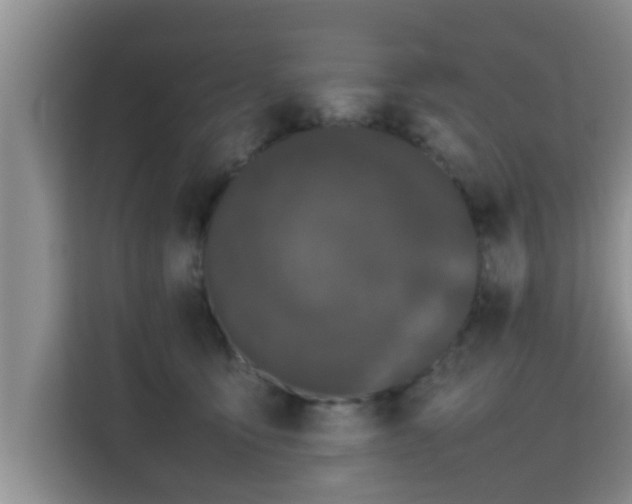 X0000115720419200911191355