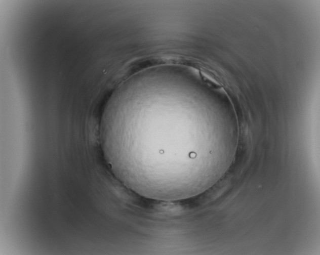 X0000115720421200911191355
