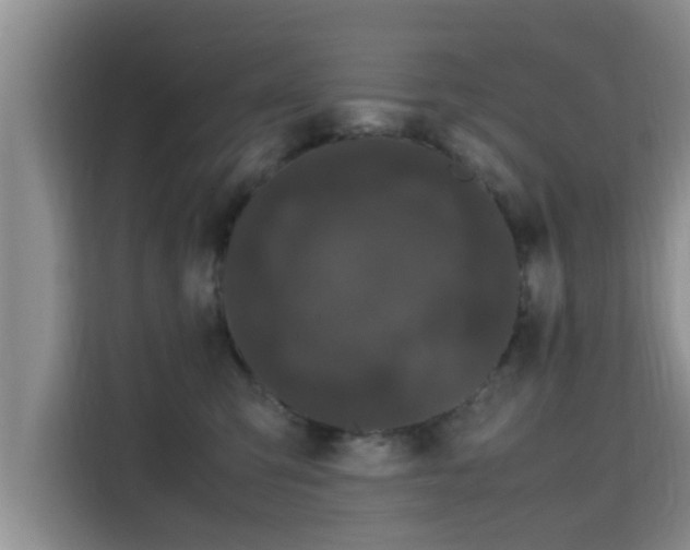 X0000115720423200911191355