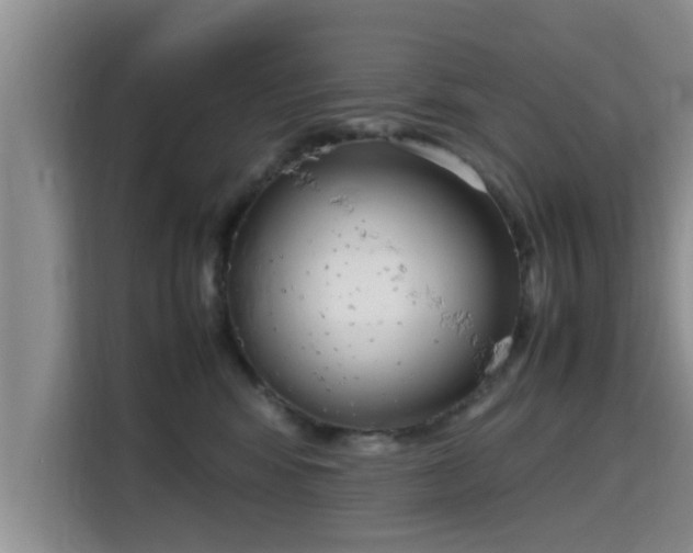X0000115720424200911191355