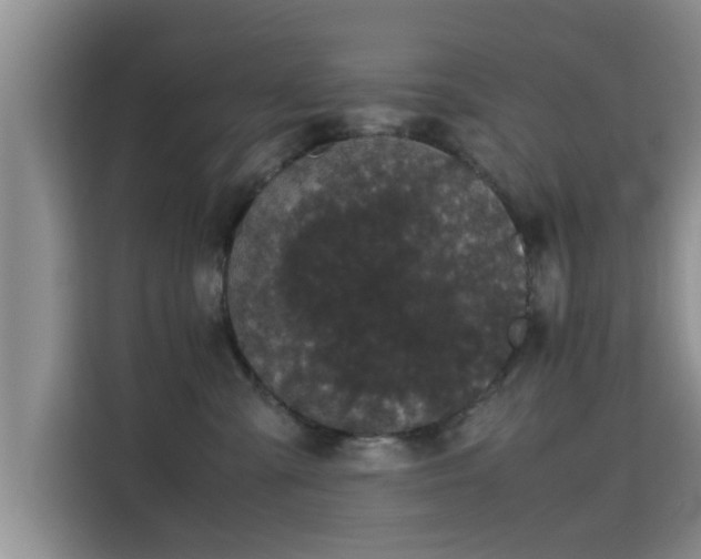 X0000115720427200911191355