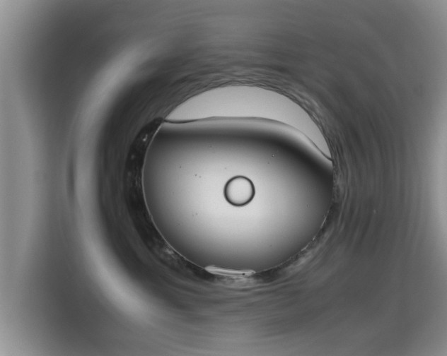 X0000115720429200911191355