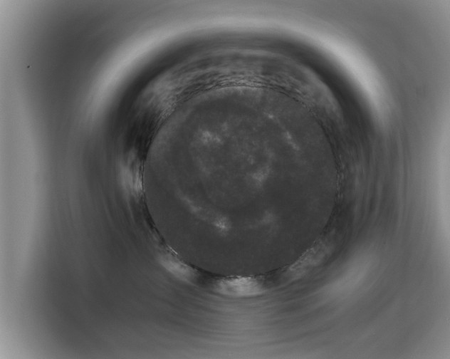 X0000115720431200911191355