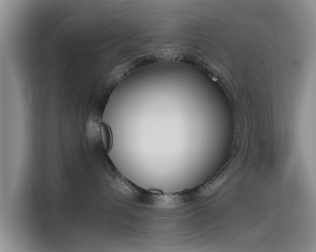 X0000115720432200911191355