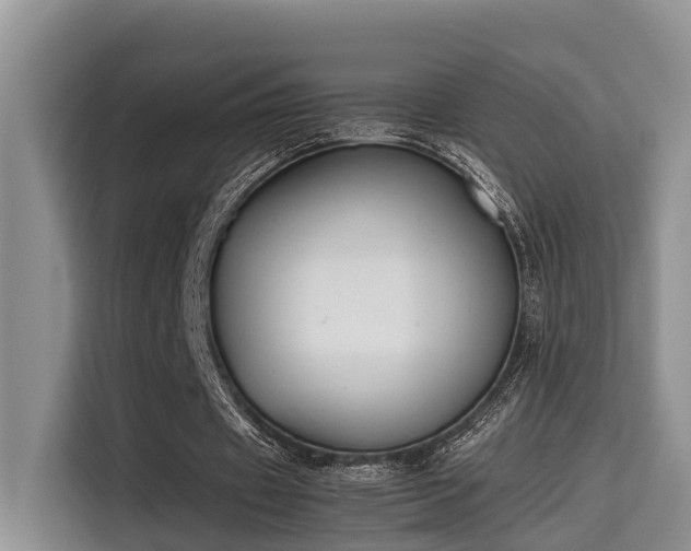 X0000115720433200911191354