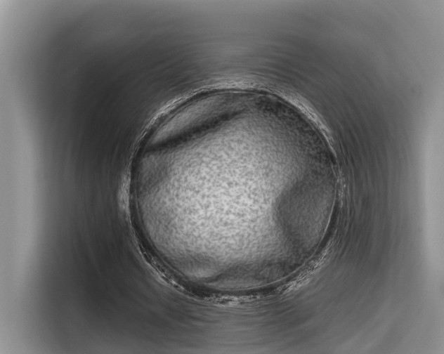 X0000115720434200911191354