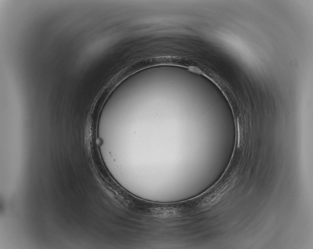 X0000115720435200911191354