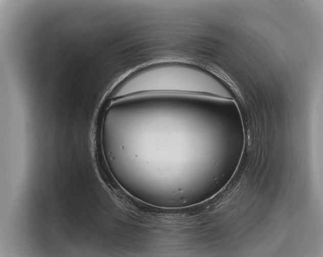 X0000115720436200911191354