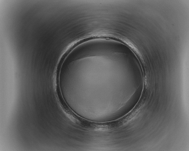 X0000115720438200911191354