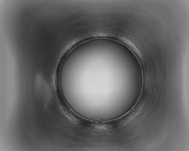 X0000115720439200911191354