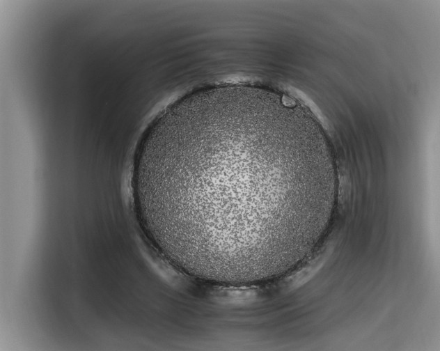 X0000115720443200911191354