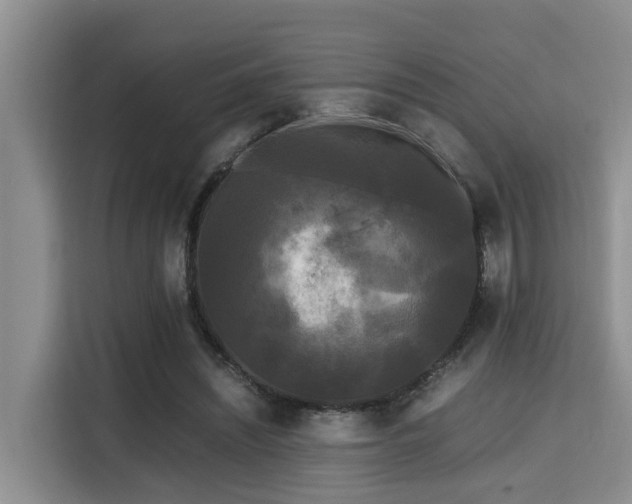 X0000115720444200911191355