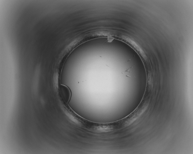 X0000115720445200911191355