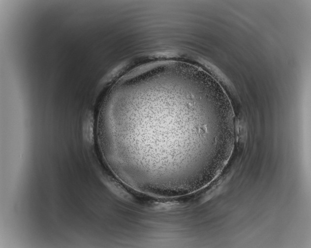 X0000115720446200911191355