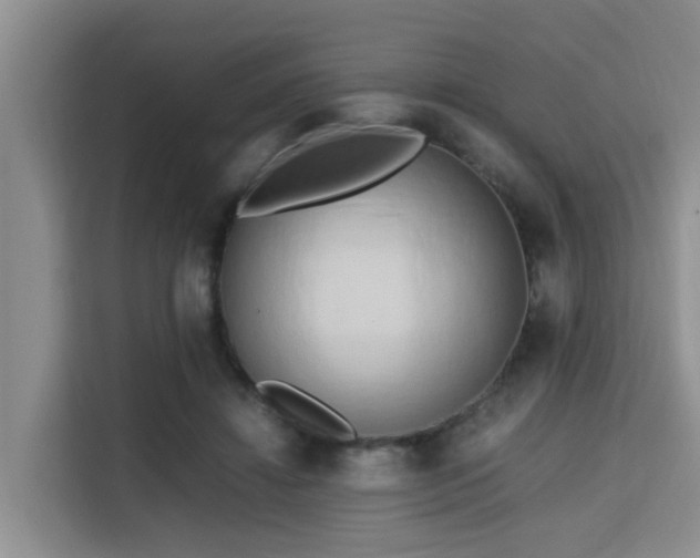 X0000115720452200911191355